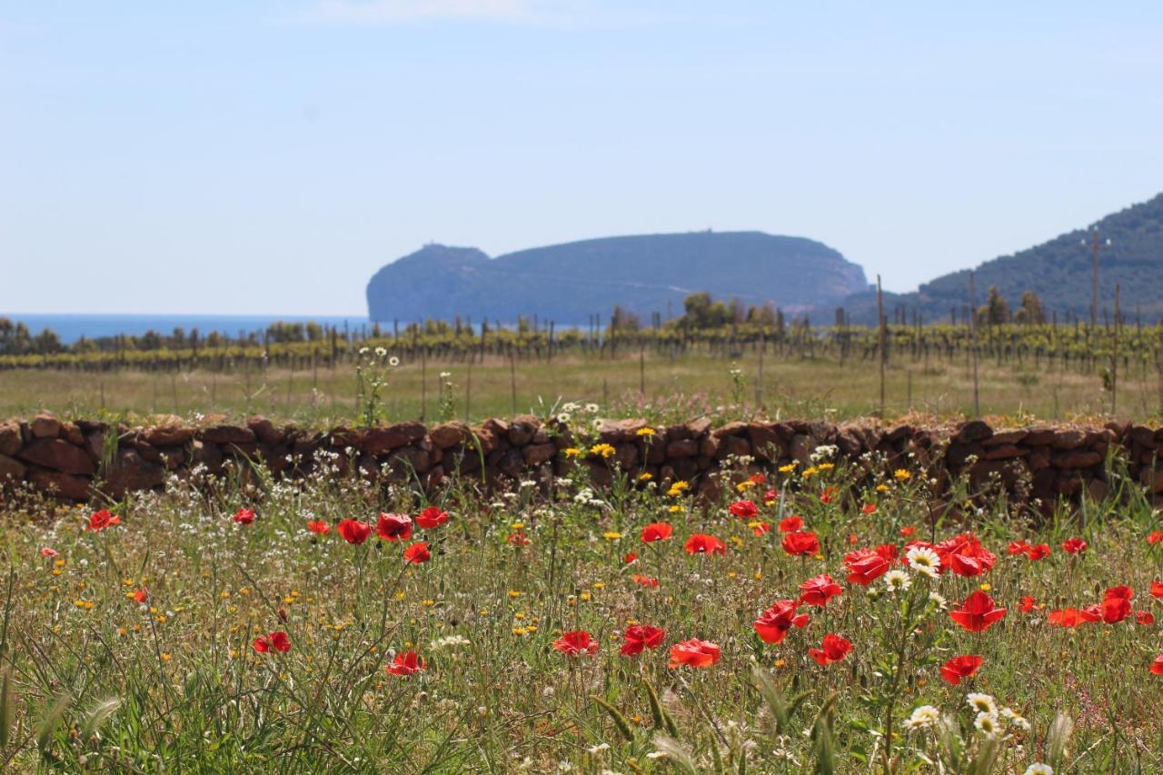 Agriturismo Graziano E Barbara Porto Conte Eksteriør bilde