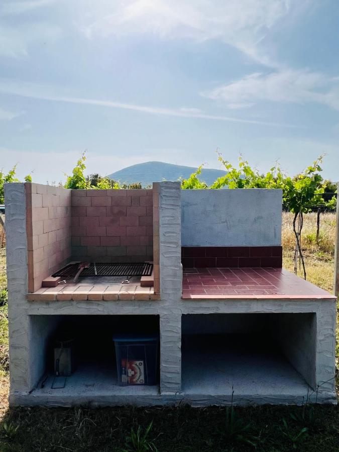 Agriturismo Graziano E Barbara Porto Conte Eksteriør bilde