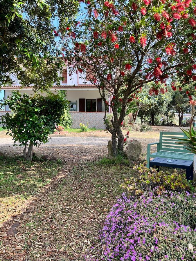 Agriturismo Graziano E Barbara Porto Conte Eksteriør bilde